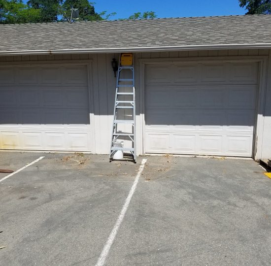 Local Junk Removal Services